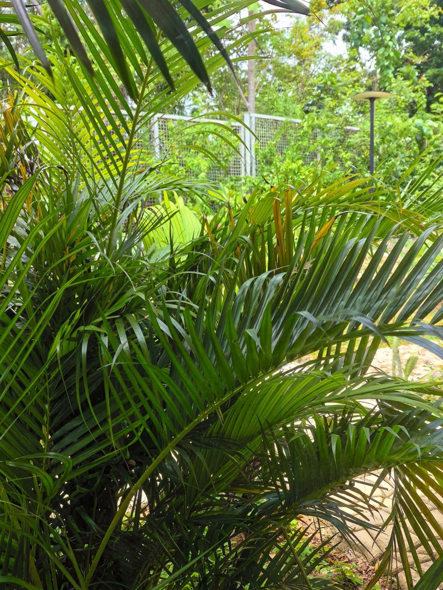 Blue Joys Msr Siquijor Exterior foto